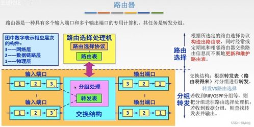 計算機網絡信息管理與服務在網絡層中的關鍵作用